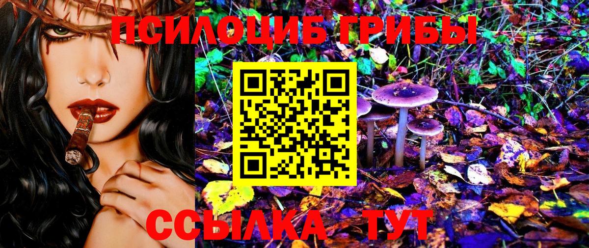 Псилоцибиновые грибы MAGIC MUSHROOMS Десногорск